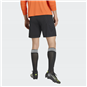 TSV Großwaltersdorf Torwart Short Unisex