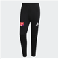 TSV Großwaltersdorf Torwart Hose Unisex