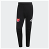 TSV Großwaltersdorf Torwart Hose Unisex