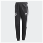 TSV Großwaltersdorf Sweat Pant Damen