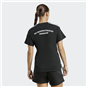 TSV Großwaltersdorf Damen T-Shirt