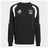 TSV Großwaltersdorf Sweat Kinder