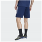 TSV Großwaltersdorf Training Short Kinder