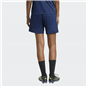 TSV Großwaltersdorf Training Short Damen