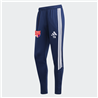 TSV Großwaltersdorf Training Pant Unisex