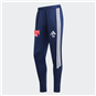 TSV Großwaltersdorf Training Pant Kinder