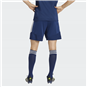 TSV Großwaltersdorf Short Unisex