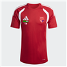 TSV Großwaltersdorf Jersey Unisex