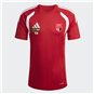 TSV Großwaltersdorf Jersey Kinder